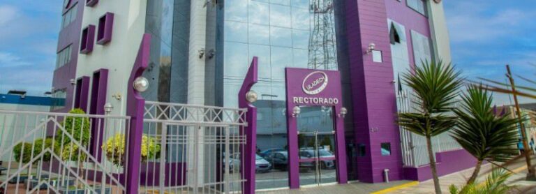 Docentes incorporados como Investigadores RENACYT
