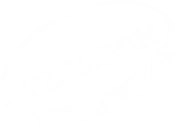 Logo ULADECH Catolica white